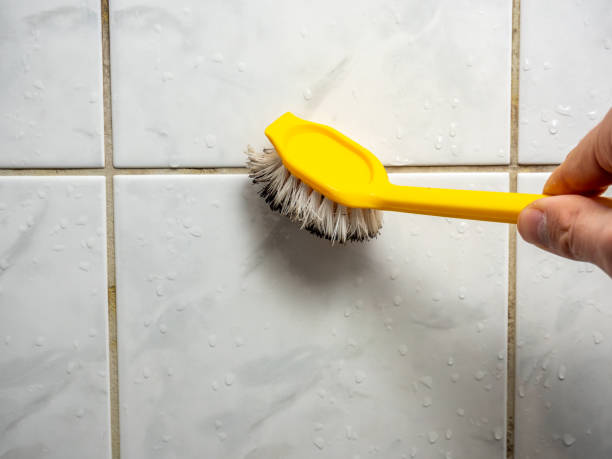 Home Mold Removal in Peach Springs, AZ