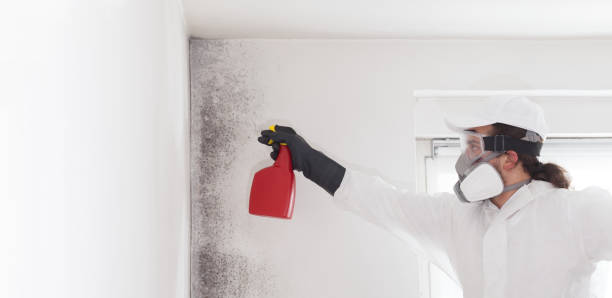 Water Damage Restoration in Peach Springs, AZ